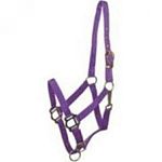 This nylon breakaway halter with leather crown is great for using as a turnout halter when trailering or even when they are in their stalls. The leather crown will break helping to prevent injury to your horse.