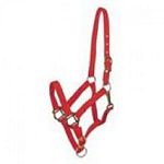 Nylon breakaway halter with a leather crown is great for using as a comfortable turnout halter when trailering your horse or even when they are in their stalls. The leather crown will break helping to prevent injury to your horse.