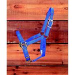 Adjustable Suckling Halter with Chin Strap. Chin strap is adjustable and it has a throat snap. 3/4 inch thick (nylon)