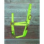 For ponies. This superb fitting halter is constructed from premium nylon. Fully adjustable allowing for a comfortable and proper fit. Made by Hamilton.