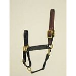 Adjustable chin halter with leather headpole. This halter comes in four different sizes and four different colors. Hamilton quality and satisfaction ensured.  Yearling, Small Horse, Average Horse and Large Horse.