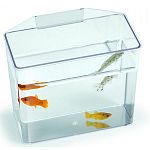 Tank works great for taking care of sick fish or for containing recently purchased fish or pregnant fish. May be hung on the inside of the aquarium to help maintain the temperature of the water. Clear container makes it easy to see the fish.