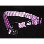 This Hamilton Dog Collar is fully adjustable to fit pet s with 12-18 inch necks. Made of high quality nylon webbing, it s great for small to medium size breeds. 5/8 inch.