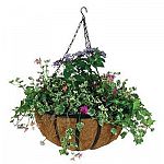 Display your beautiful hanging plants and flowers with this English style hanging basket by Gardman. A molded coco liner helps to keep the dirt and flowers inside while giving this basket a natural look. Available in a variety of sizes.