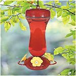Convenient top-fill design. Wide mouth top for easy filling. Four soft, life-like flower feeding ports. Hardened CLEAR glass container. RED top and bottom.