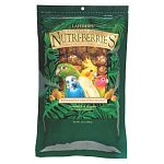 Tropical Fruit Nutri-berries are available in three size nuggests: a smaller size nugget for smaller birds such as Budgies, Cockatiels, smaller Conures and a larger size nugget for all other parrots, as well as XLarge for Macaws.