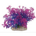 Creates an astonishing and realistic display in your aquarium. Made from polyresin material. Turn your aquarium into an underwater forest.