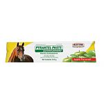 Durvet Pyrantel Paster Horse Dewormer comes in an apple flavor and it for the removal and control of mature infections of large strongyles, small strongyles, pinworms, and large roundworms in horses and ponies. Size: 3.60 grams