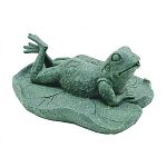 A classic way to accentuate and add visual amusement to your water garden. Produces soothing sounds of steady trickling water. Provides essential aeration to pond water. Made of durable polyresin material and finished with crack-resistant paint. Lightweig