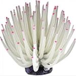 Silicone anemone coordinates with tetra blooming collection. Works with tetra colorfusion universal color-changing led light.