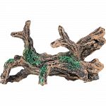 Has a natural driftwood appearance under white light Under the glofish blue light, the moss fluoresces for a spectacular illuminating effect