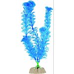 Single pack plant features fluorescent colors which pop under glofish blue leds Enhances aquariums while producing shelter to reduce fish stress Safe for both freshwater or saltwater environments Weighted base keeps plants from floating