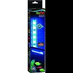 Illuminates tanks up to 20 gallons Energy efficient, brilliant blue leds Designed to highlight the beautiful colors of glofish fluorescent fish and d cor