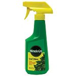 Miracle Gro Leaf Shine makes your plants look their best! Cleans leaves on all hard leafed house plants. For use on philodendron, ivy, snake plant, rubber plant, pothos, dieffenbachia, and more. It has no odor and won't clog leaf pores. Removes spots.