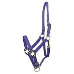 Horse halter with an adjustable crown and noseband. Comes with a high quality snap. It is designed for use on your horse for in the stable and when turned out.  Economical choice for everyday horse halter. Choose color. Size: Average Horse