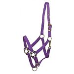 Horse halter with an adjustable crown and noseband. Comes with a high quality snap. It is designed for use on your horse for in the stable and when turned out. Economical choice for everyday horse halter. Choose color. Size: COB Horse