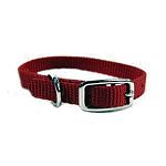 3/8 inch wide Dog collar. Dog collar. Attractive Nylon Dog Collar in multiple colors. Tongue Buckle. Made by Hamilton Pet - the leader in dog collars. Classic style dog collar - almost indestructable.