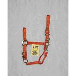 Nylon Adjustable Horse Halter with Chin Strap - 1 inch by Hamilton. Adjustable chin snap at throat. Only the highest quality durable nylon webbing, thread and hardware is used to produce the Hamilton product line. Available in a wide variety of colors.