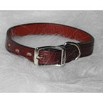 Decorative leather dog neck collar that attaches to a lead. (matching leashes available). Vegetable tanned leather and nickel hardware makes these collars last and last. Walk your dog in high style with Hamilton's best. 1 inch width / multiple