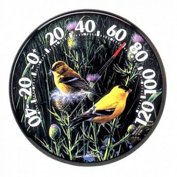 Goldfinches Indoor/Outdoor Thermometer 12.5 in.