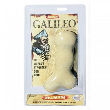 Galileo Bone by Nylabone