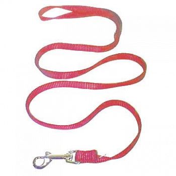 Nylon Lead with Snap 5/8 in x 6 ft - Raspberry
