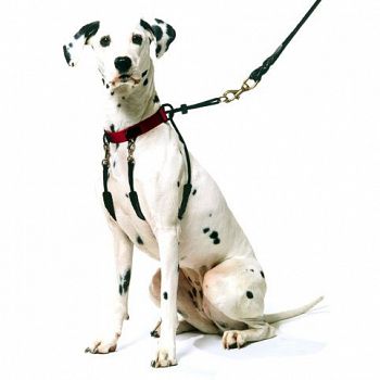 Sporn Anti-Pull Dog Harness