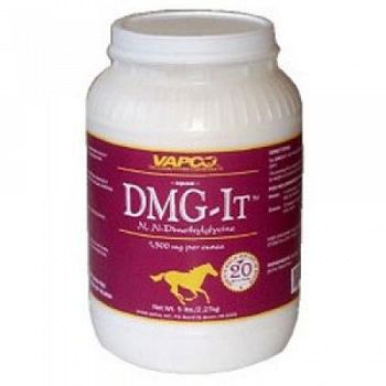 DMG-It Equine Nutritional Supplement - 22 lb.