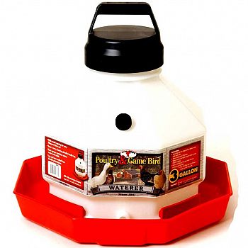 Poultry Fountain - Auto Waterer