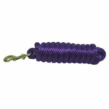 Lead with Bolt Snap 10 ft / Purple