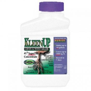 Kleenup 41% Concentrate - 1 pint