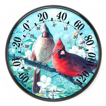 Decorative Cardinal Thermometer 12.5 in.