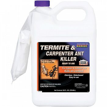 Carpenter Ant & Termite
