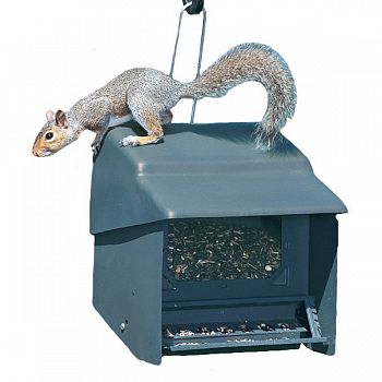 Homestead Ultimate Stop-A-Squirrel Bird Feeder