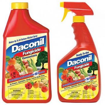 Daconil Fungicide