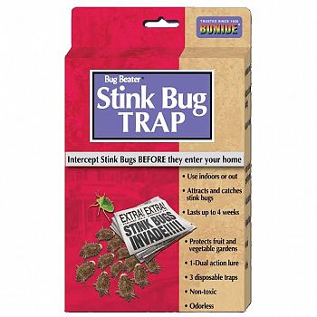 Stink Bug Trap