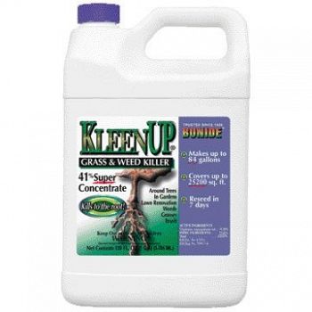 Kleenup 41% Concentrate - 1 Gallon