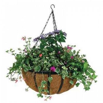 Forge Hanging Basket with Coco Liner