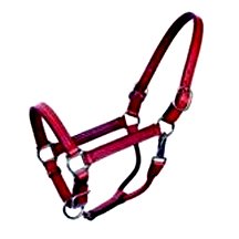 Equine Halter - Double Ply Leather