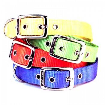 Deluxe Colorful Dog Collar