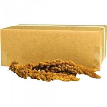 Gold Millet Spray Bulk 500 ct