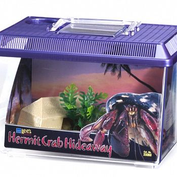 Hermit Crab Hideaway Kit
