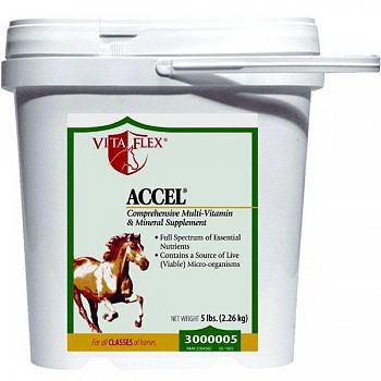Vita Flex Accel Equine Vitamin Supplement