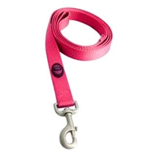 Nylon Lead With Snap - 1 in x 6 ft - Raspberry
