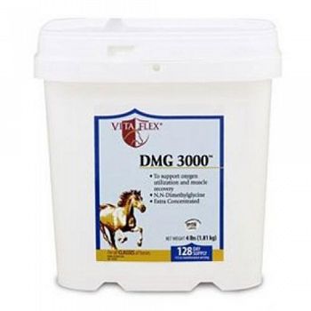 DMG 3000 Equine Energy Booster - 4 lbs.