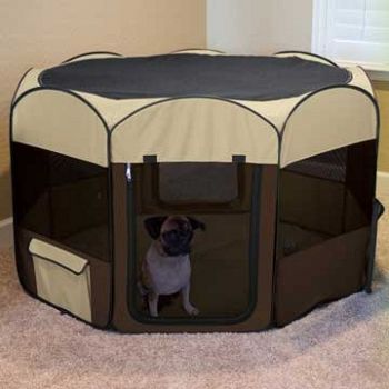 Deluxe Pop-Up Playpen for Small Dogs or Cats