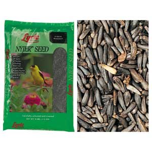 Lyric Nyjer Seed for Finches 10 lbs ea. (Case of 4)