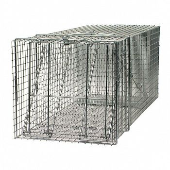 Large Professional Raccoon Trap - 42X15X15 in.
