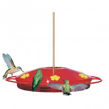 Hummingbird Oasis Red Feeder