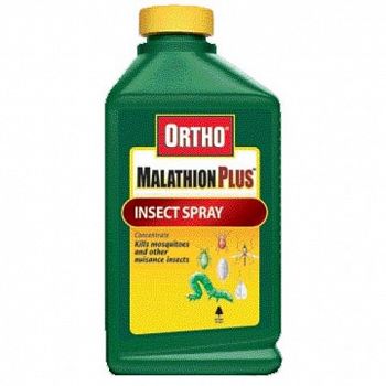 Ortho Malathion Plus Conc. 1 qt. ea. (Case of 6)